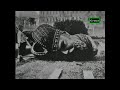 Testigos de la Historia: 1917 Bandera Roja - Documental - Español Latino *E. 3