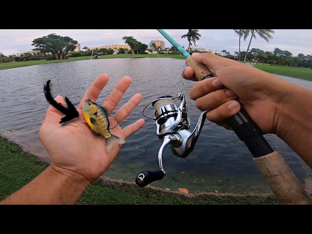 Rigging Gambler Lures - Pro Tips 