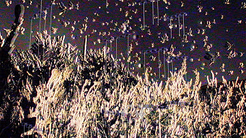 Oneohtrix Point Never - Measuring Ruins (Official Video)