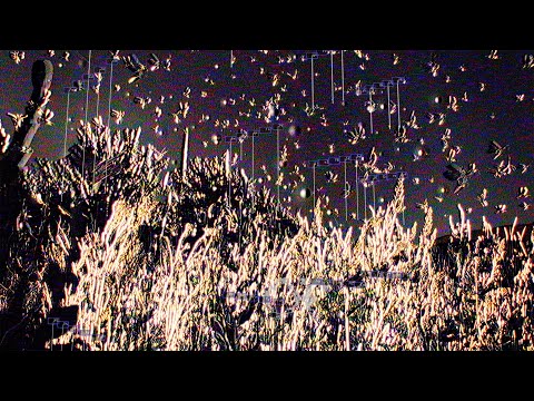 Oneohtrix Point Never - Measuring Ruins (official Video)