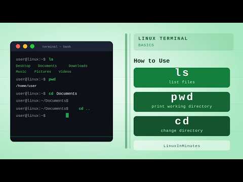 Linux Terminal Basics: How to Use ls, pwd, & cd