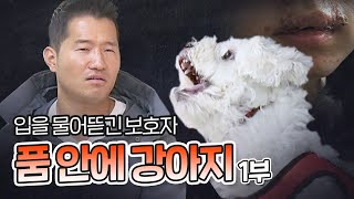 입을 물어뜯긴 보호자, 품 안에 강아지 말티푸 하루 1부｜내 강아지의 공격성 The aggression of my dog