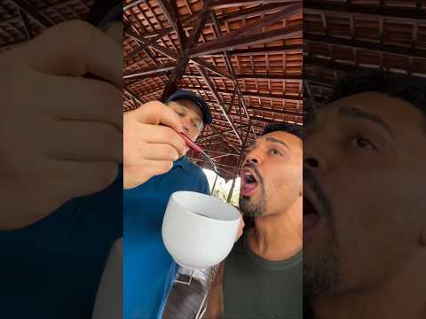 Tirullipa adorou o açaí de Macapá