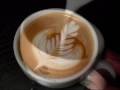 Latte art  basic umpaul