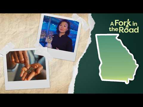 Unique Growers & Grinders: Georgia’s Creative Food Entrepreneurs | A Fork in the Road S1E12
