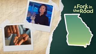 Unique Growers & Grinders: Georgia’s Creative Food Entrepreneurs | A Fork in the Road S1E12