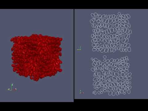 1440 vesicles in taylor vortex flow