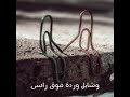 متيجى نسيب كل دة ونمشى
