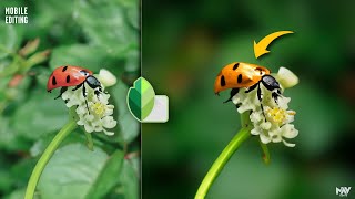 Create Flawless DYNAMIC BLUR & CHANGE COLORS in Snapseed App | Android | iPhone screenshot 1