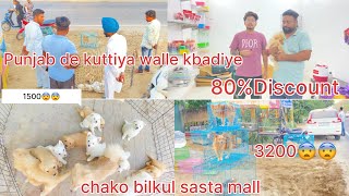 Sarre Punjab ton saste kutte super quality puppy wholsale ka baap .