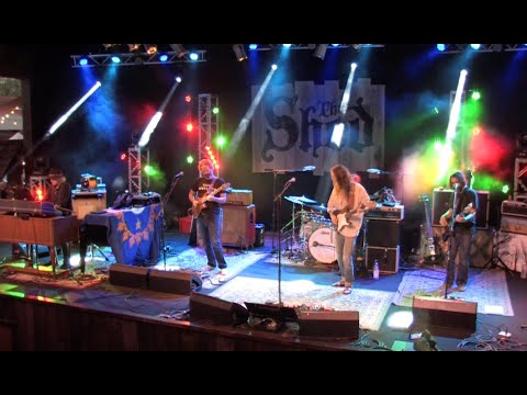 Rare Birds Video