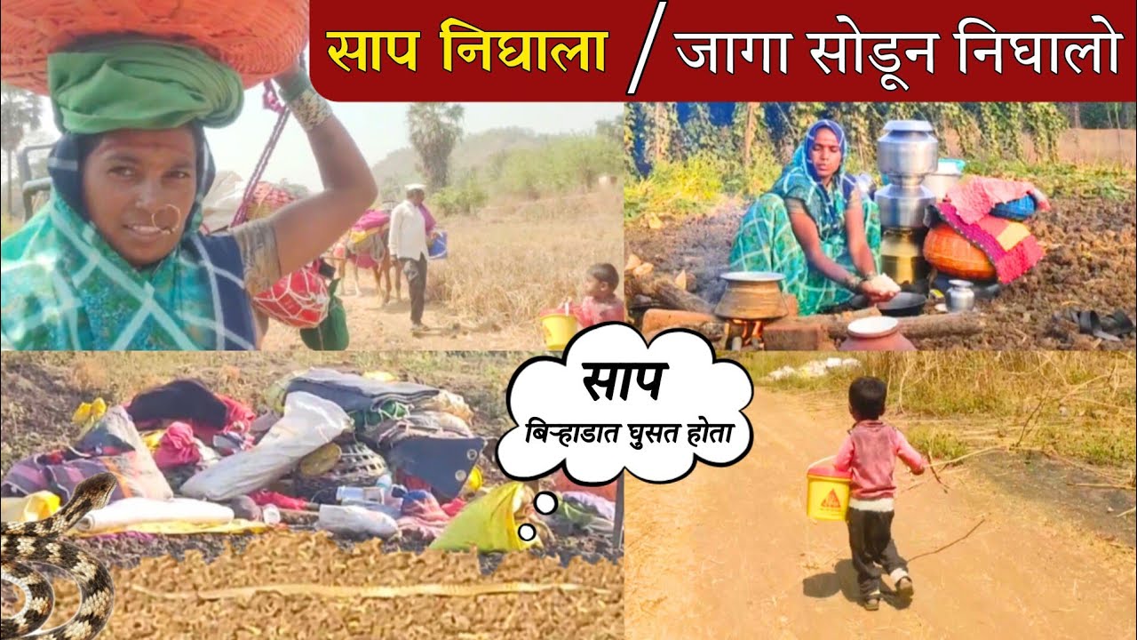 बिऱ्हाडाजवळ निघाला भला मोठा साप, बाणाई जागा सोडून निघाली | banai | sidu hake | dhangari jivan