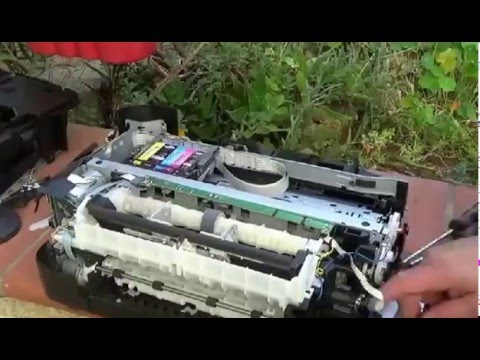 Разборка принтера на -заказ для мастера Самоделкина, Игоря.