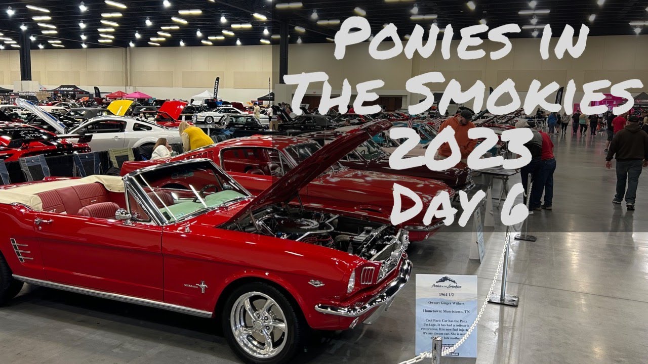 Ponies In The Smokies 2023 Schedule