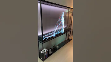 LG S 77 Inch Transparent OLED TV Is Mesmerizing And Probably Very Expensive 