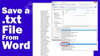 Save a .txt file from Word screenshot 3