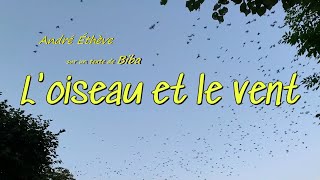 L&#39;oiseau et le vent - André Éthève (English, Ελληνικοί, Български, Italiano, ترجمة عربية..)