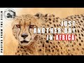 ANOTHER DAY IN AFRICA | Wildlife Photography Vlog
