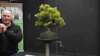 Bonsai Northwest Melbourne August 2026 Critique session by Quentin
