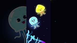 Download Lagu #JunyTony #Shorts | 🌊 Hewan laut berenang bebas, Ubur-ubur laut! #Uburubur MP3 Download Lagu #JunyTony #Shorts | 🌊 Hewan laut berenang bebas, Ubur-ubur laut! #Uburubur MP3