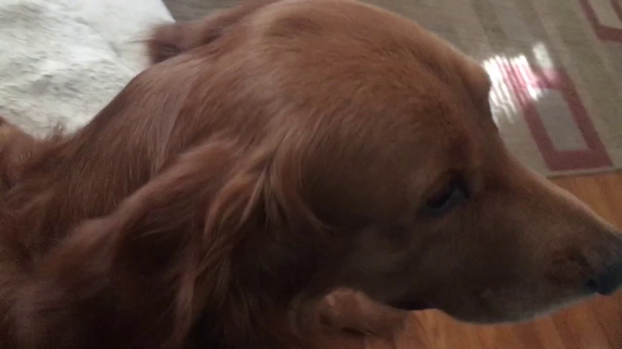 testing. Testing 1234 - YouTube