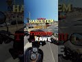 Harleye vs Sciagacze #motopasja #chopperstyle #bikelife