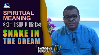 Spritual Meaning of Killing Snake in the Dream