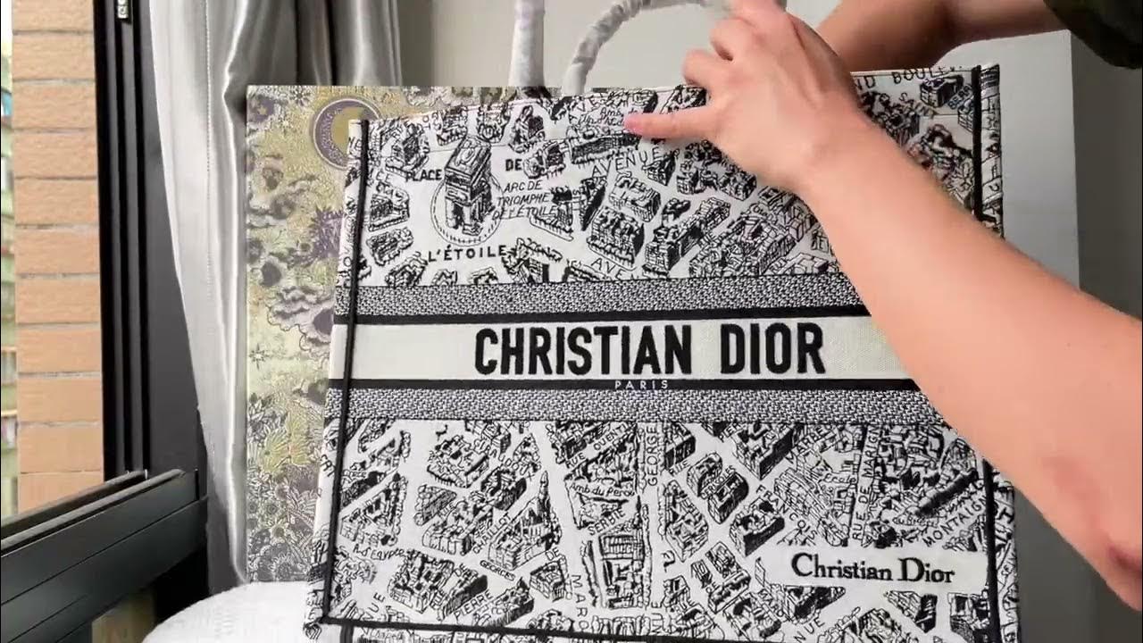 Small Dior Book Tote White and Black Plan de Paris Embroidery
