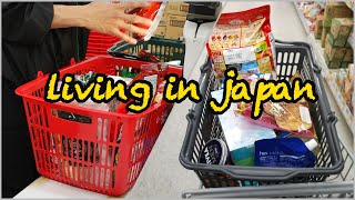 grocery shopping in Japan🛒, drug store and Dinner at restaurant | living in Japan | Japan vlog