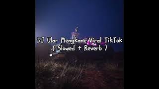 DJ Ular Mengkane Viral TikTok ( Slowed   Reverb )