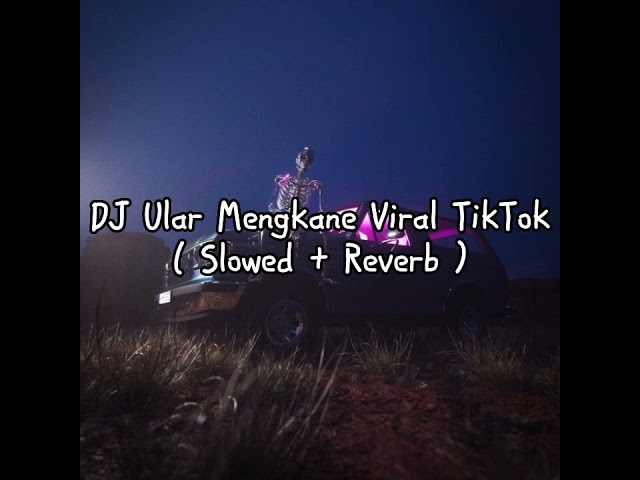 DJ Ular Mengkane Viral TikTok ( Slowed + Reverb ) class=
