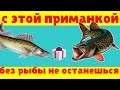 Как ПОЙМАТЬ не активного ХИЩНИКА.МОРМЫШКА с НАСАДКОЙ.