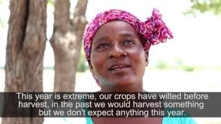 Climate Change Impact in Zimbabwe