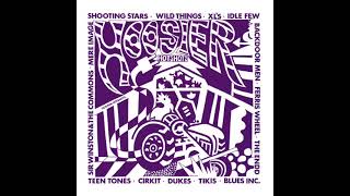 Hoosier Hotshots: Indiana in the Garage Era