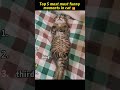 TOP5 MOMEN TERLUCU #funny #funnyvideos #comedy #viral #memes #lol #haha #laugh #funnymoments#top