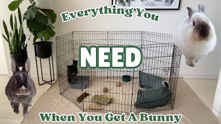 EVERYTHING You NEED When You Get A Bunny