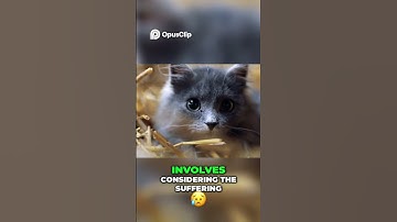 Feral Cats  Ethics and Biodiversity Debate Explained