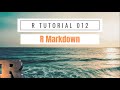 Intro to R Markdown | R Tutorial (2020)