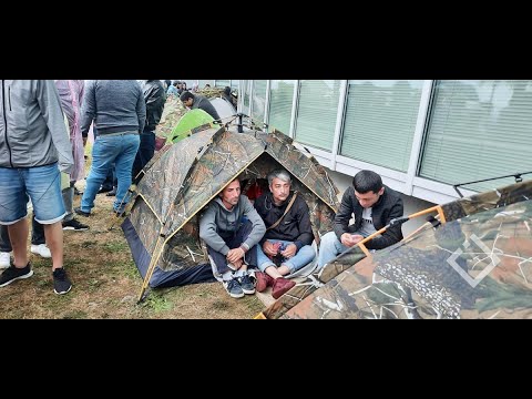 ლავასოღლის ექსტრადირების მოთხოვნით ოთხმა მოშიმშილემ პირიც ამოიკერა