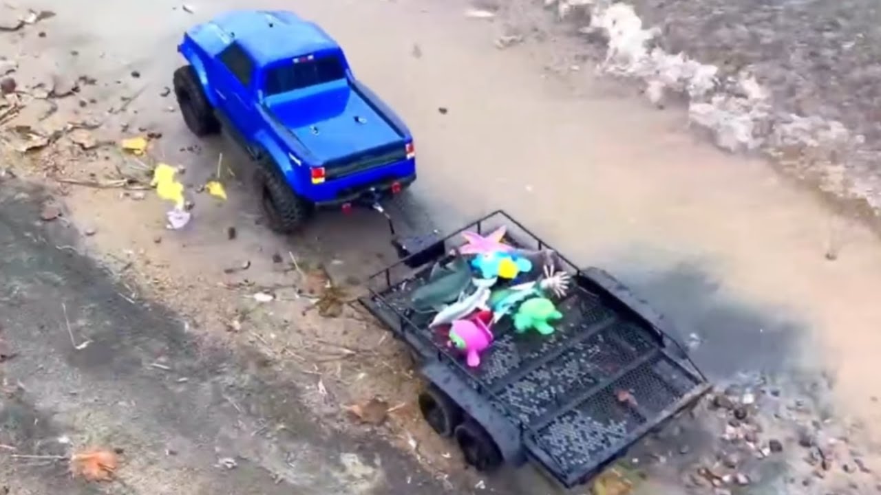 Поиск игрушечных морских животных на радиоуправляемом грузовике вдоль берега! Морские звезды, сом...