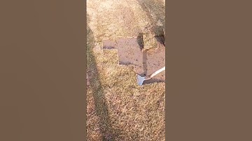 The process of digging green turf