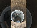 Water well installation cement coil process