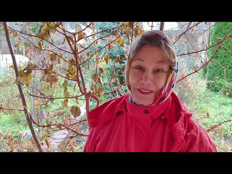 Стыдно, так не закрывала сезон никогда. Любимая ДАЧА, прости! Милый ДОМ, здравствуй!