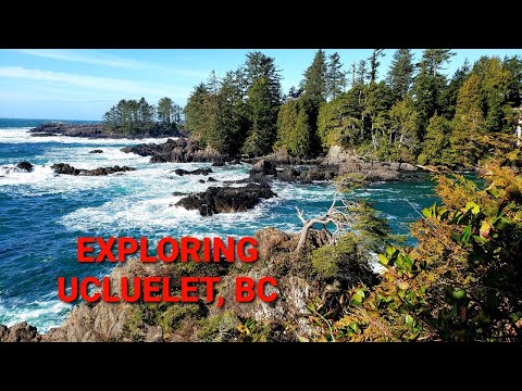 Exploring Ucluelet, BC & Wild Pacific Trail - What to do in Ucluelet!