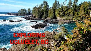 Exploring Ucluelet, BC & Wild Pacific Trail  What to do in Ucluelet!