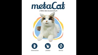 'Metacat by Elephant Robotics: Feline Robotic Charm in a Purrrfect Package! '