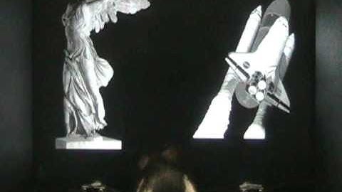 Rat Performing Object Discrimination Task