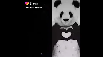 أحنا دوله والهيبه صقوطن وطلول من اعمركم دباديب وحكي 