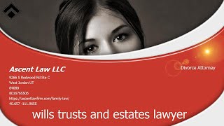 Pro Bono Attorneys For Child Custody #shorts