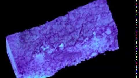 High-Resolution X-ray Computed Tomography as a Tool for Visualization and Quantitative Analysis of